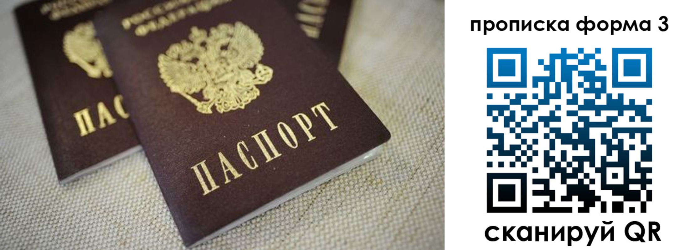 прописка поиск в Сегеже